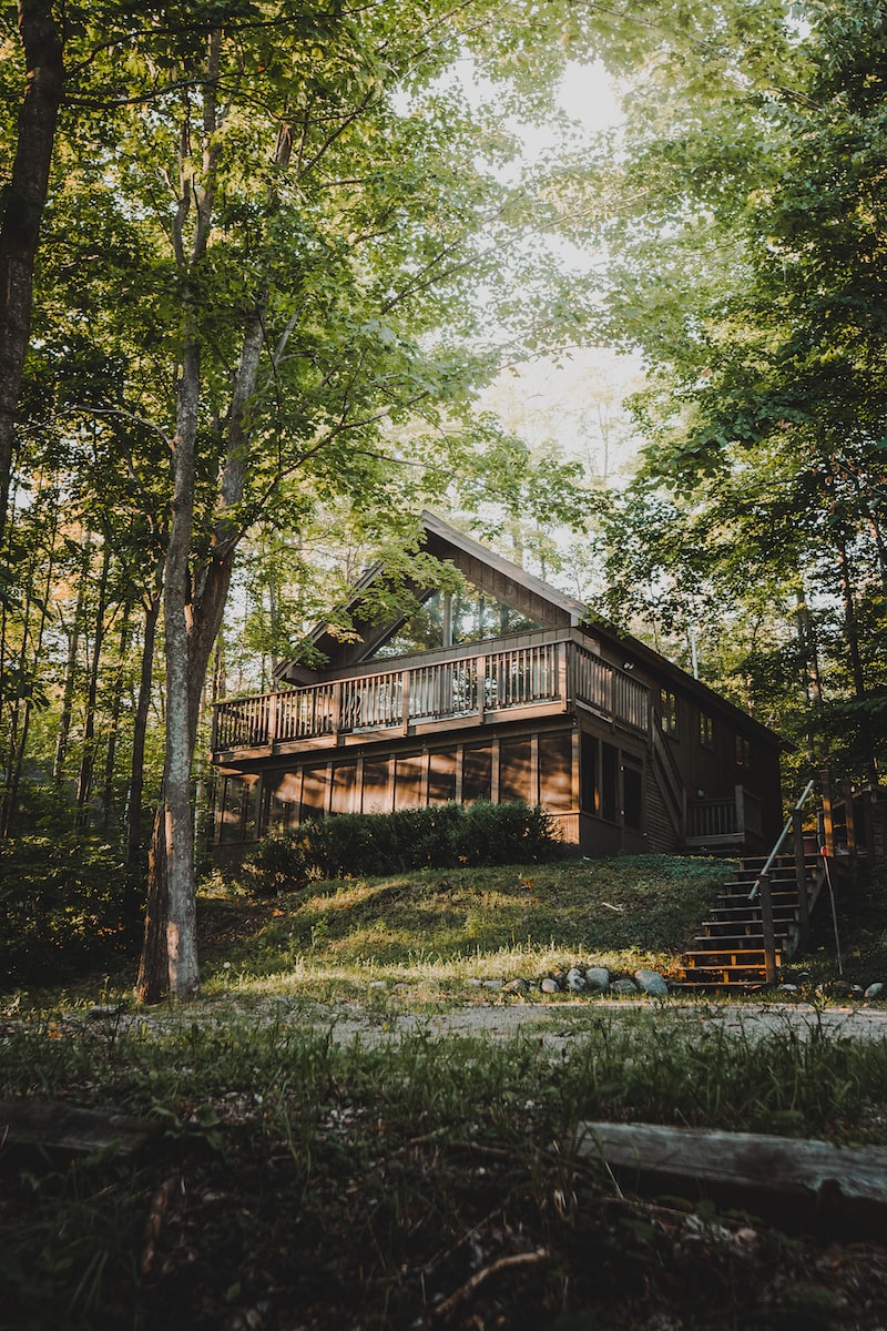 brown wooden house surrounded by green trees during daytime